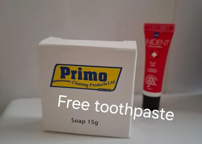 Cozy Studio! Apartament