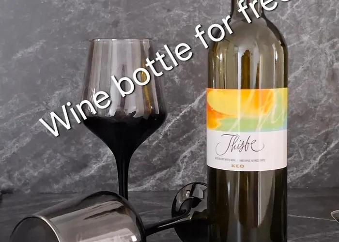 Cozy Studio! Apartment *